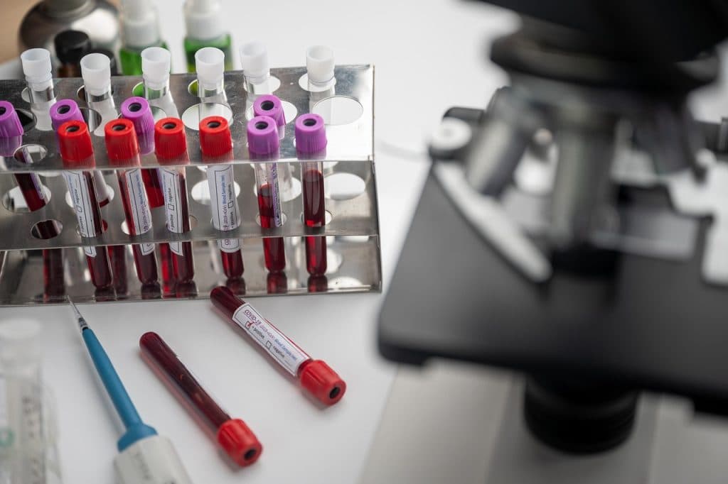 Forskning om vaccin mot herpes – nyckelprotein identifierat